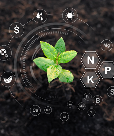 Micro Element Gübrelerimiz