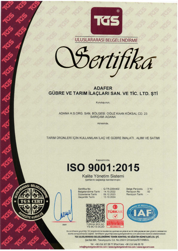 ISO 9001